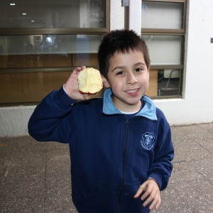 Día de la Actividad Física